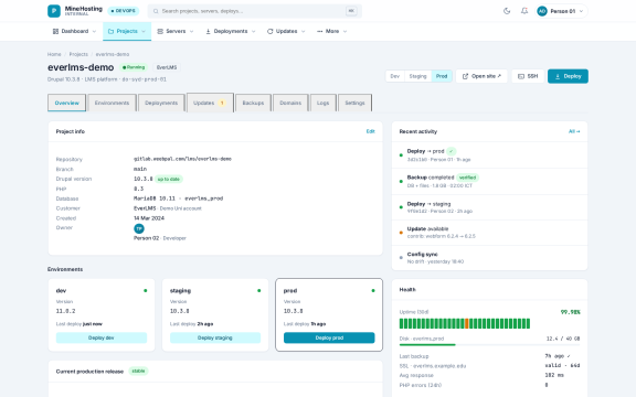 MineHosting: Project detail