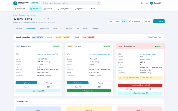 MineHosting: Environments