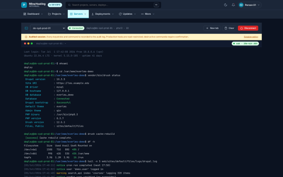 MineHosting: Web ssh