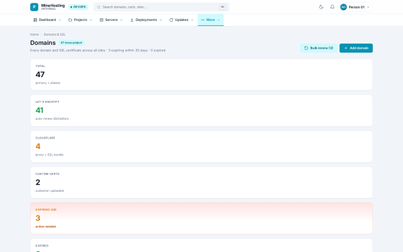 MineHosting: Domains